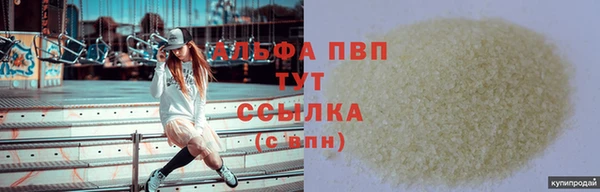 прущие грибы Кодинск