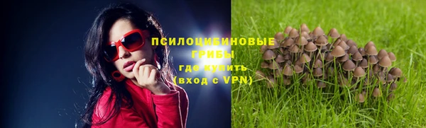 PSILOCYBIN Киренск