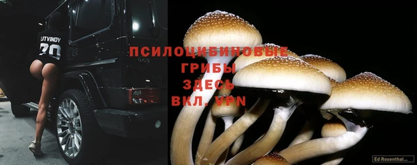 Альфа ПВП Козловка