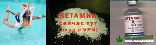 прущие грибы Кодинск