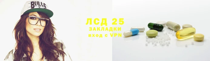 ГАЛЛЮЦИНОГЕННЫЕ ГРИБЫ Козельск