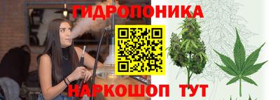 бошки Шелехов