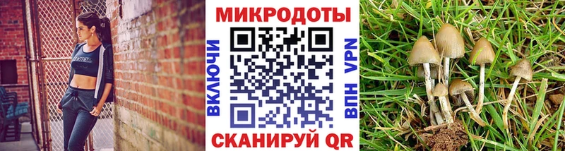 Псилоцибиновые грибы MAGIC MUSHROOMS MEGA ТОР Красноперекопск
