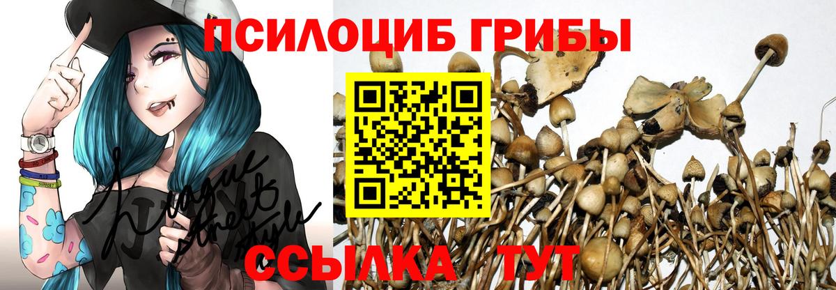 Псилоцибиновые грибы мицелий Красноперекопск