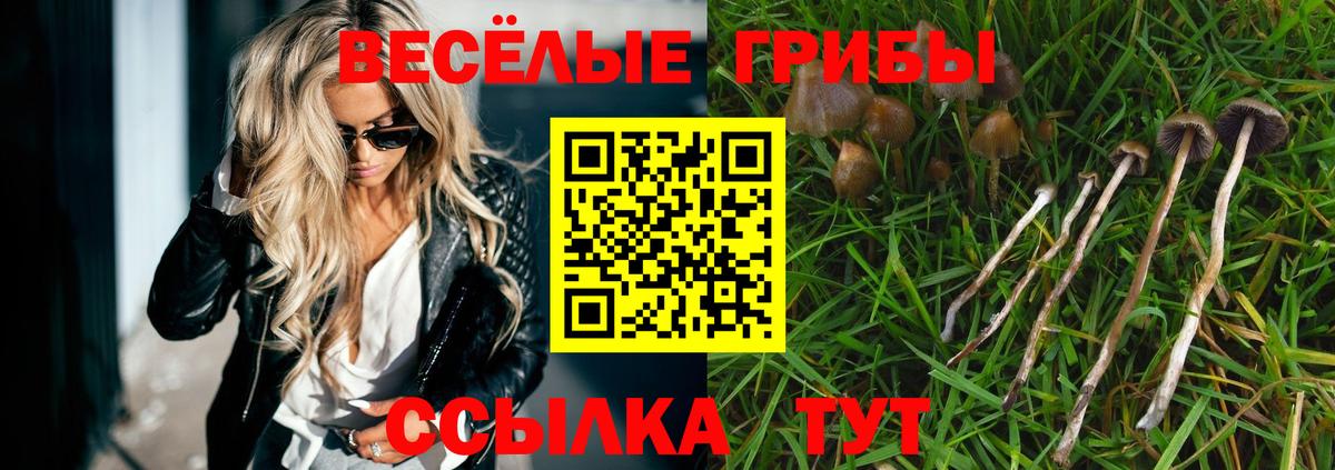 Псилоцибиновые грибы Psilocybe  Псилоцибиновые грибы MAGIC MUSHROOMS  Вход с VPN  Красноперекопск 